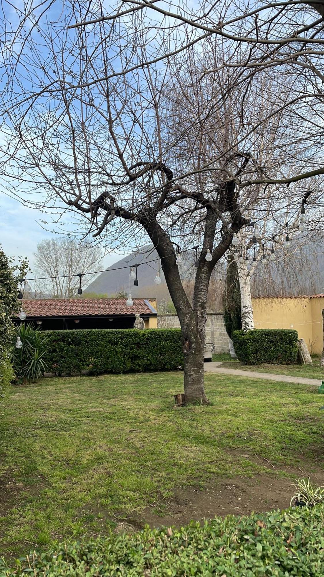 Fox Apartment Cervinara Rotondi Экстерьер фото